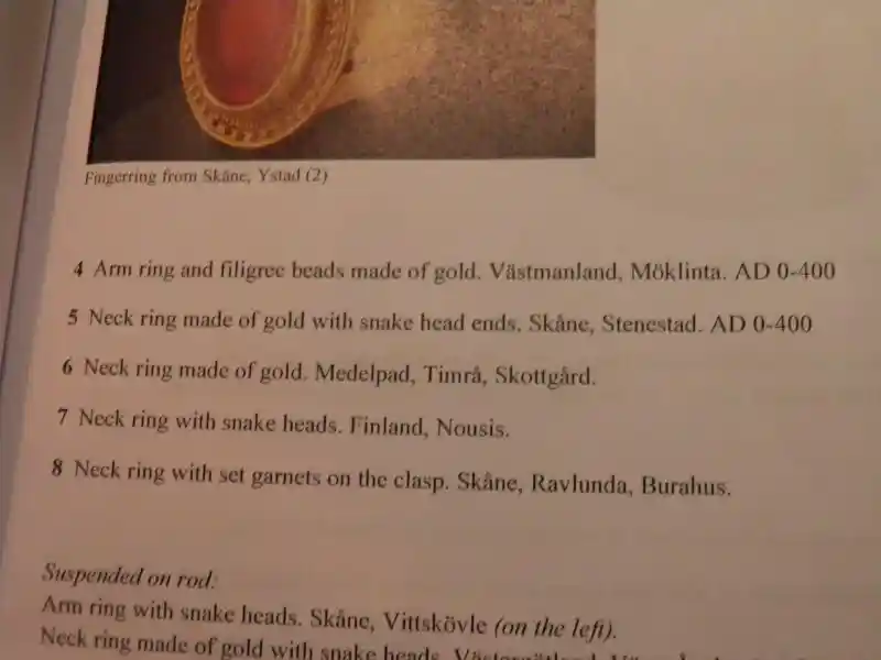 Neck ring with snake heads. Finland, Nousis.